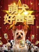 萌犬好声音