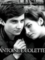 安托万与柯莱特微电影