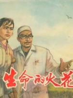 生命的火花1962