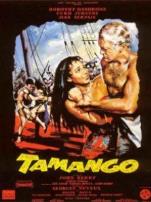 黑人武士译制配音版