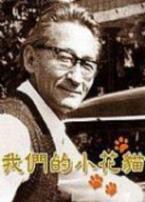 我们的小花猫微电影