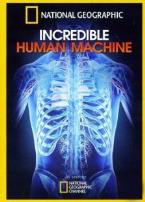 神奇的人体机器