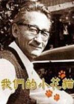我们的小花猫