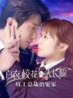 特工总裁俏冤家