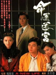 命运迷宫普通话版