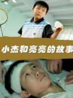 小杰和亮亮的故事