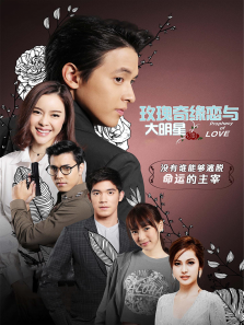 玫瑰奇缘恋与大明星普通话版