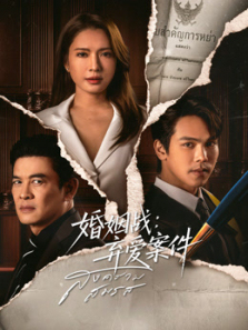 婚姻战弃爱案件