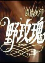 风情万种野玫瑰微电影