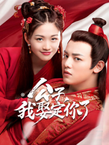 公子我娶定你了