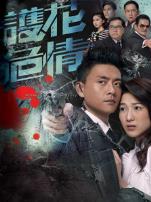 护花危情普通话版