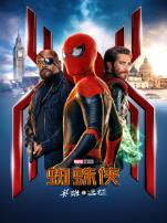 蜘蛛侠英雄远征