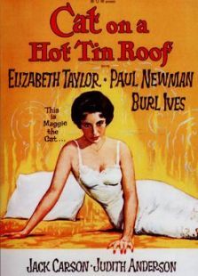 热铁皮屋顶上的猫