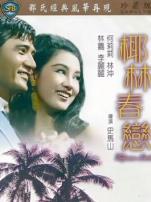 椰林春恋