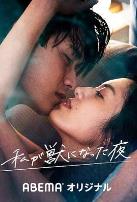 我变成野兽的夜晚