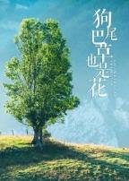 狗尾巴草也是花