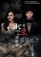 北漂爱情故事2016