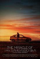 马尾藻海的奇迹