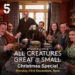 万物生灵：2024圣诞特别集