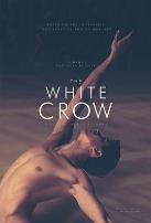 白乌鸦