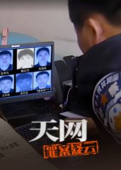 天网:罪案疑云