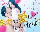 可以全力去爱吗?
