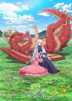 龙先生，想要买个家。