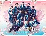 与你一起绽放~新选组青春录~
